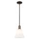 Option Oil Rubbed Bronze / Matte White