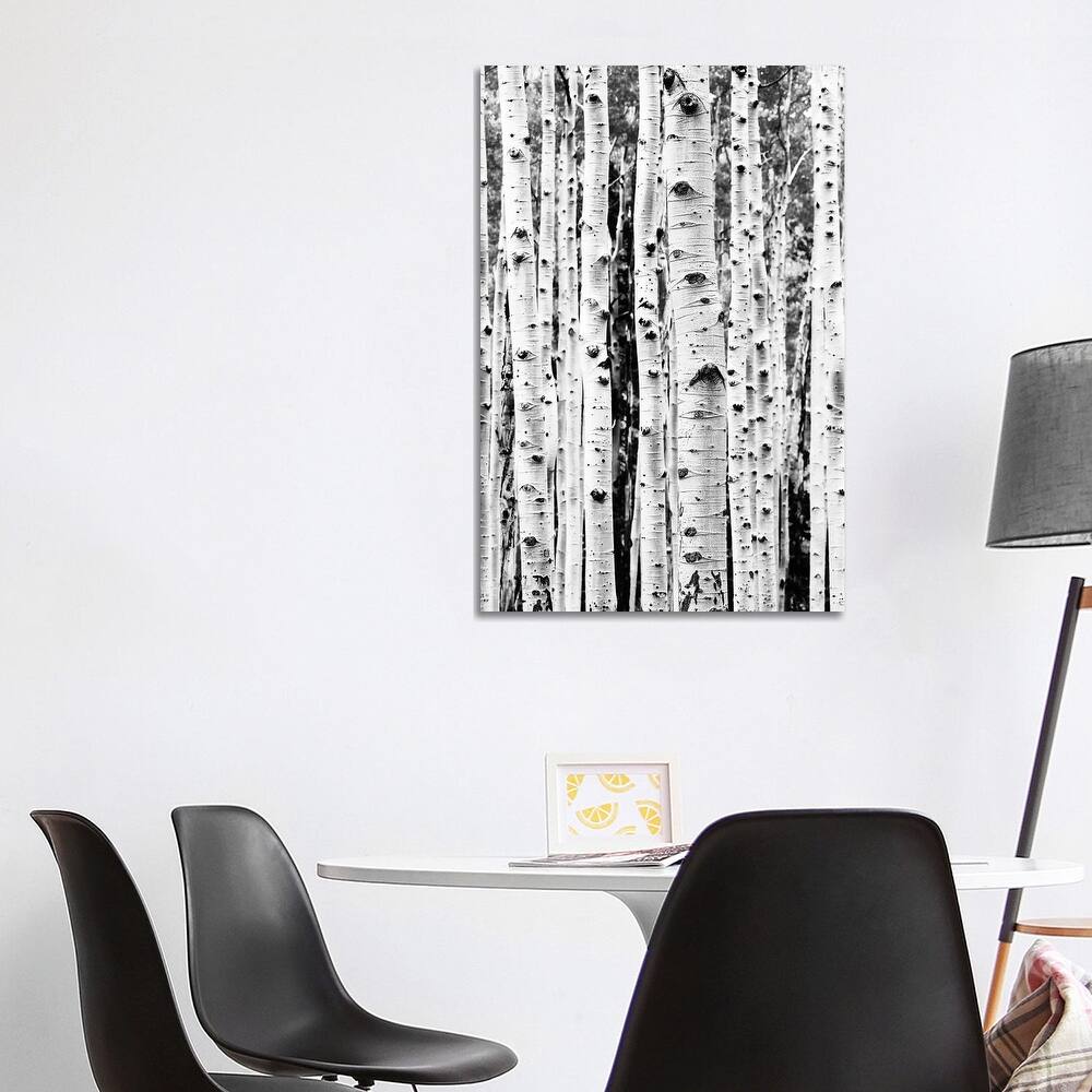 iCanvas "Birch In Black & White" by Sisi & Seb Canvas Print