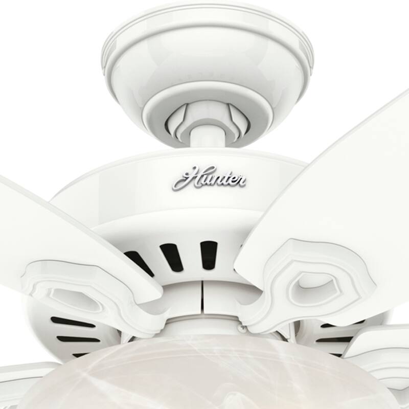 Hunter 42" Builder Ceiling Fan with LED Light Kit and Pull Chain