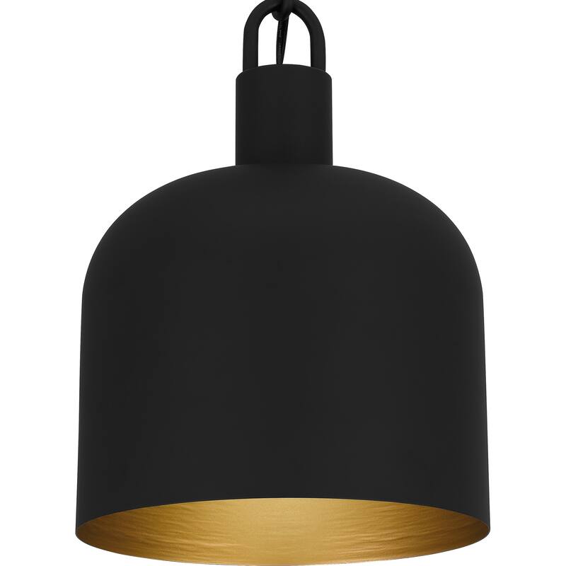 Raquel 1-Light Matte Black Mini Pendant Light