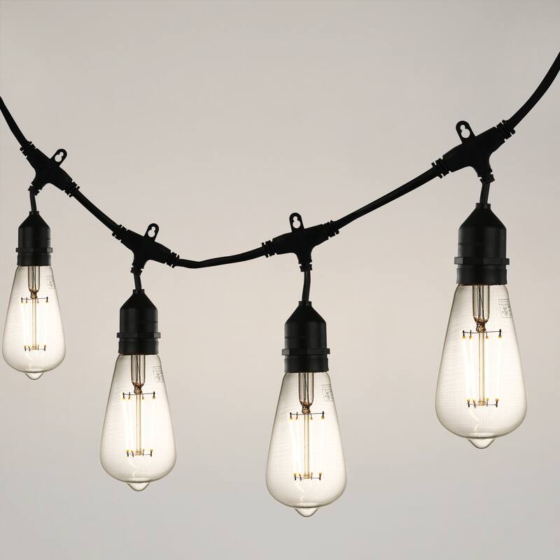 Light Society Aquella ST21 Shape LED Filament Light Bulb (Set of 4) - Clear