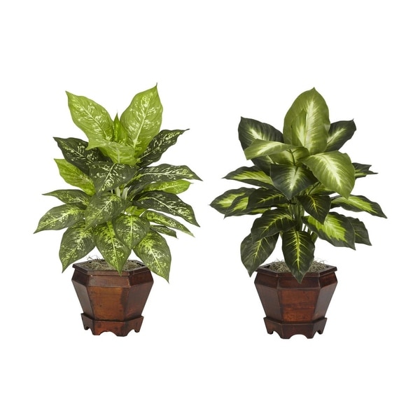 Nearly Natural Dieffenbachia with Wood Vase Silk Plant - Set of 2 orted
