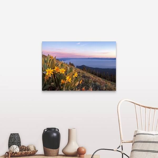 Shop Sunset And Yellow Mules Ears Flowers Above Lake Tahoe In