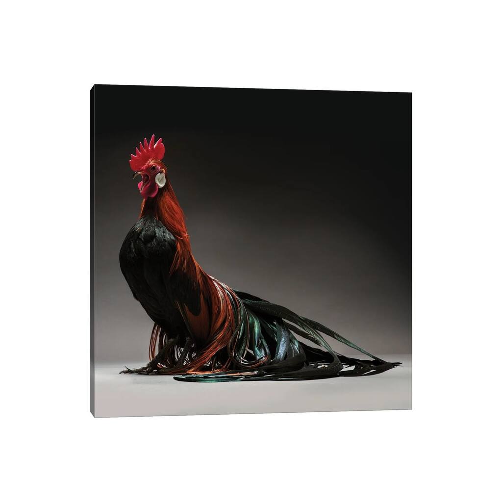 iCanvas "Phoenix" by CHICken Canvas Print