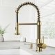 preview thumbnail 68 of 156, VIGO Edison 19" H Single Handle Pull-Down Sprayer Kitchen Faucet