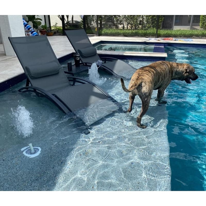 PURPLE LEAF Patio Chaise Lounge Set Outdoor Beach Pool Sunbathing Lawn Outside Chairs with Side Table Included