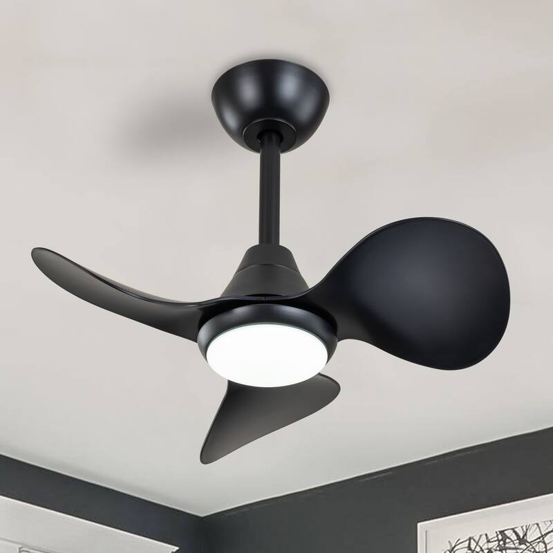 C Cattleya 24" 3 Blades DC Motor Dimmable Integrated LED Ceiling Fan with Remote Control