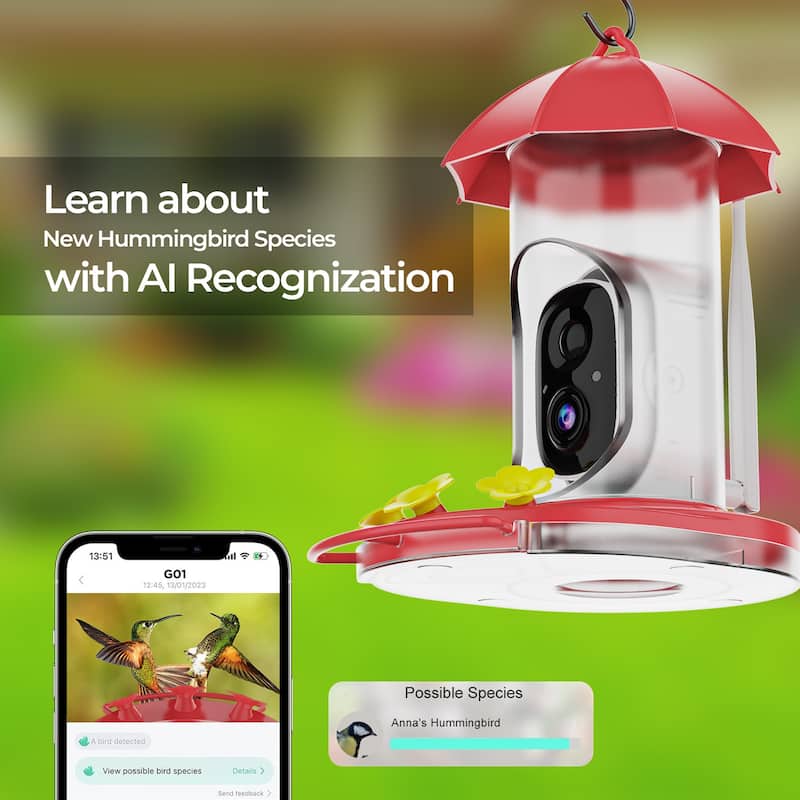 Plastic Hummingbird Feeder, 5200mAh Battery w Solar Panel and Camera IP65 Water Proof, Ant Moat and Bee-proof features