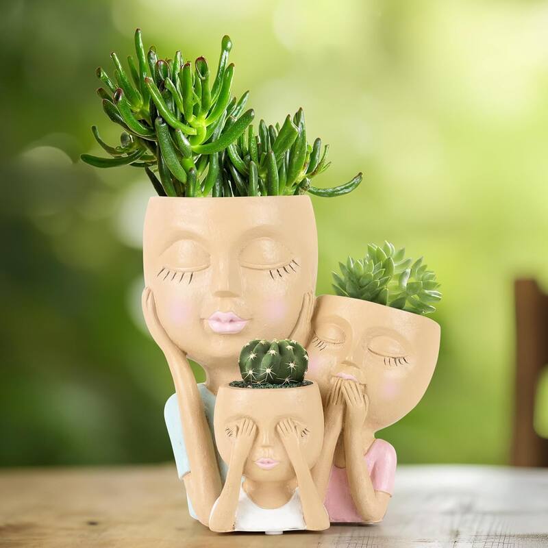 Face Planter for Home Decor (excluding Plants)