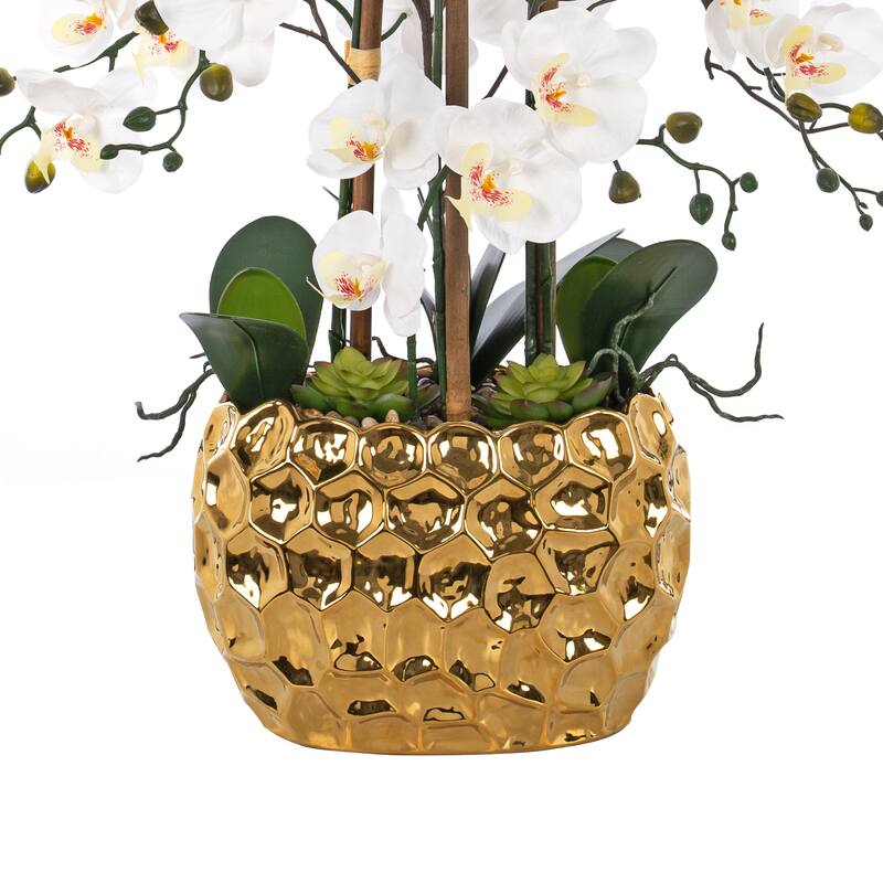 8 Stems Real Touch Phalaenopsis Plastic Orchids with Succulents in White Ceramic Pot - 35.43" H x 31.5" W x 31.5 " D