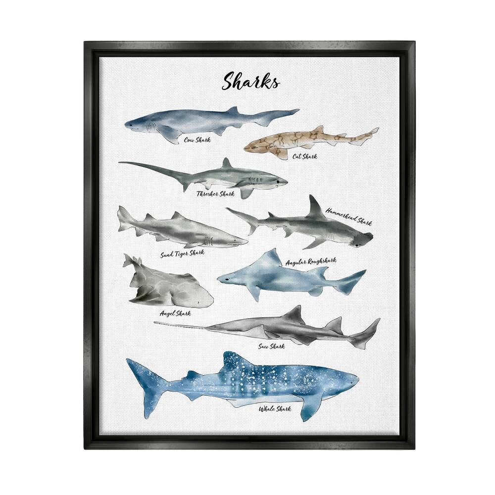 Stupell Nautical Shark Chart Watercolor Marine Animals Floater Frame - White
