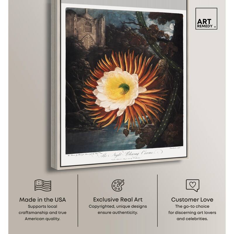 Night-Blowing Cereus 1807 Canvas by Art Remedy