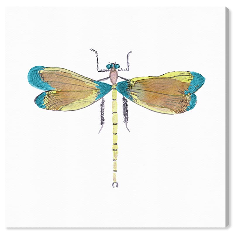 Wynwood Studio Canvas Animals Spring Dragonfly Blue and Turquoise Rustic Wall Art Canvas Print