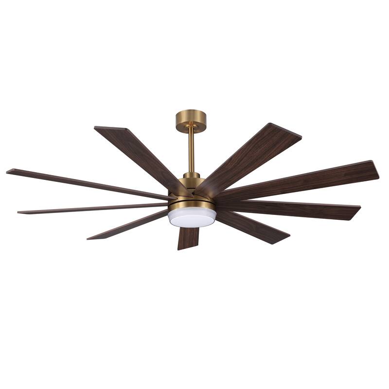 MLiAN DC Motor Indoor Ceiling Fan with Light and Remote