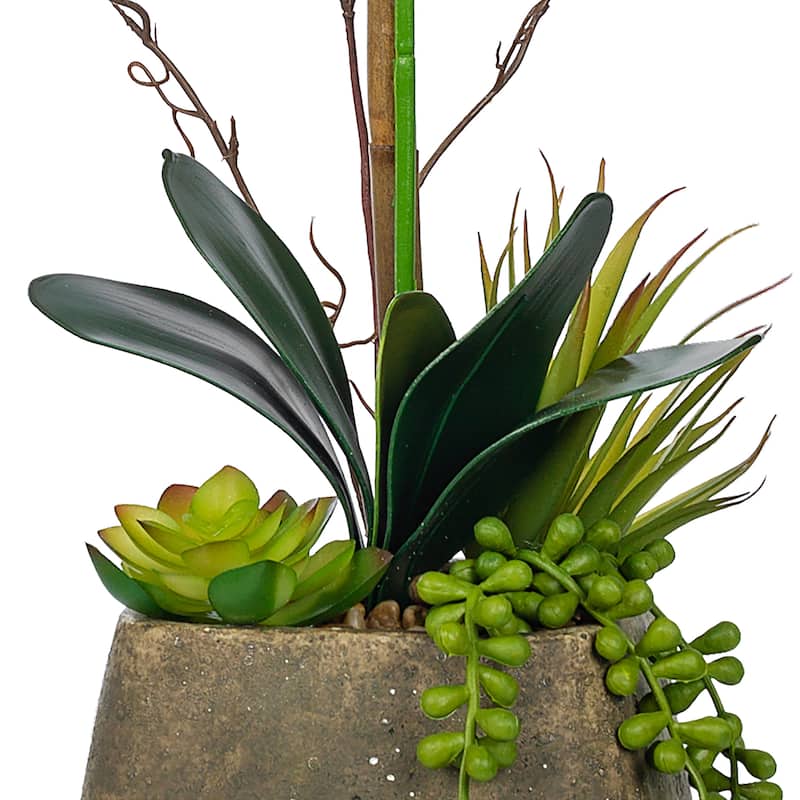Single-stem Artificial Real Touch Silk Orchid with Succulents in Grey Cement Pot - 23.23" H x 12.2" W x 10.04" D