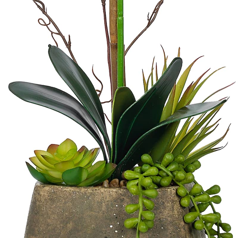 Single-stem Artificial Real Touch Silk Orchid with Succulents in Grey Cement Pot - 23.23" H x 12.2" W x 10.04" D