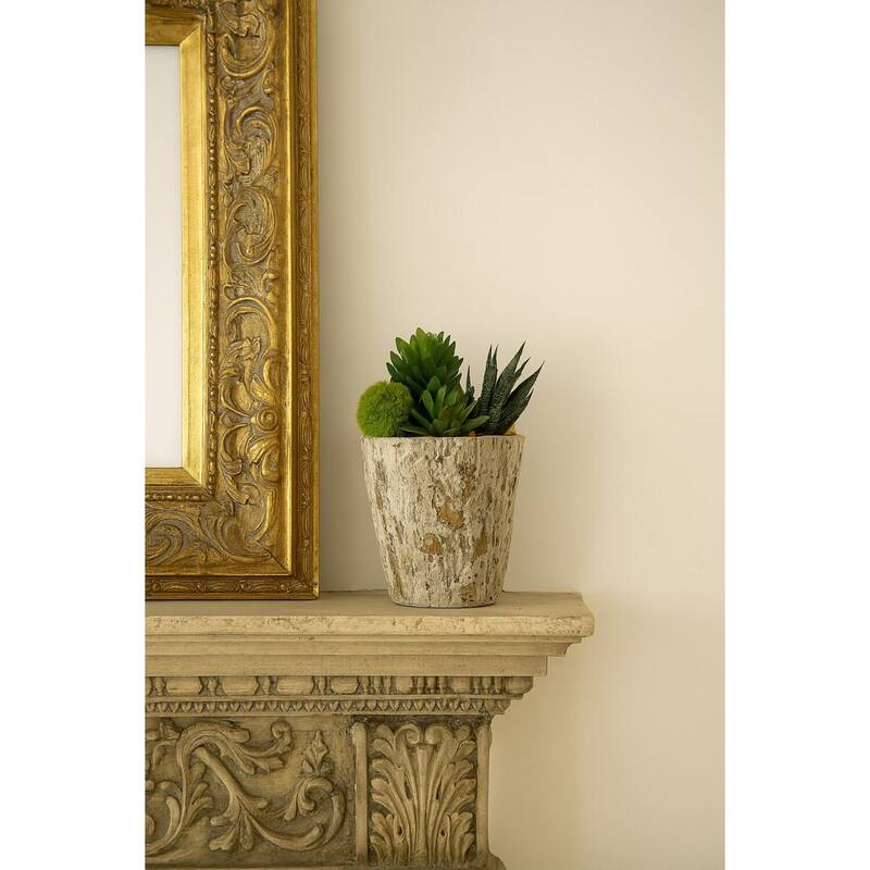 HomeStock Aloe and Succulents in Weathered Oak Look Cement Planter - Lush Faux Greens for Rustic Accents - 8