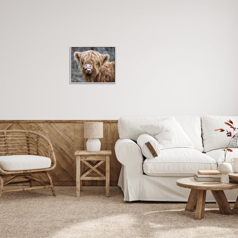 Stupell Baby Highland Calf Cattle Licking Lips Country Farmland Framed Wall Art, Design by James Dobson
