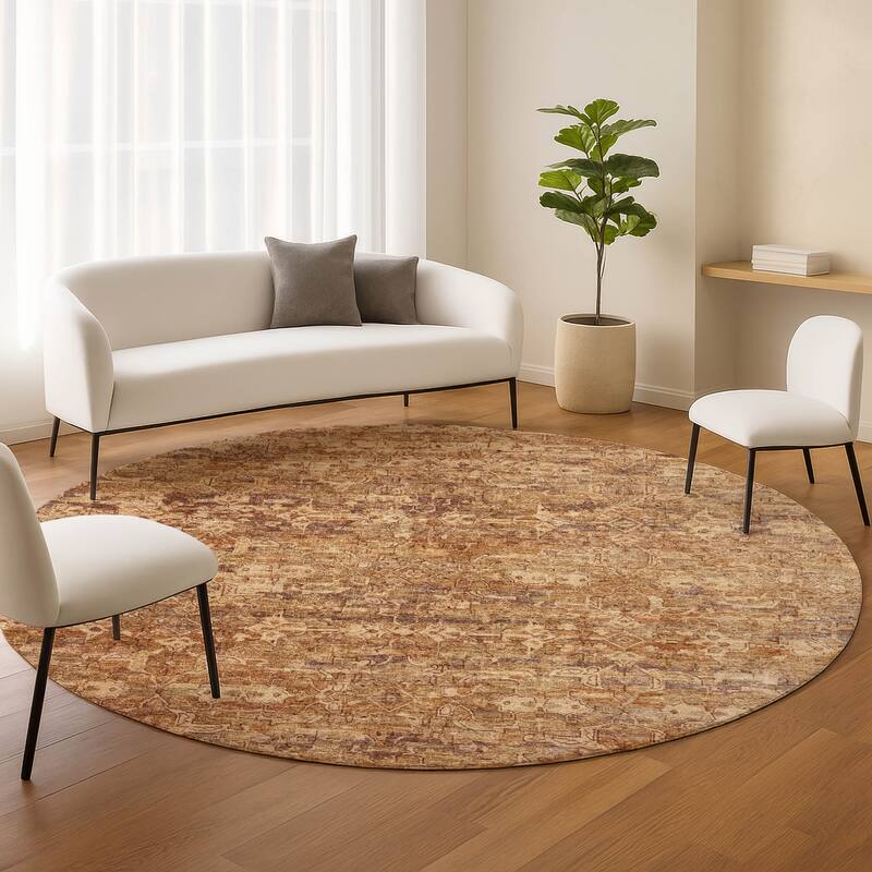 Machine Washable Indoor/ Outdoor Traditional Harmony Chantille Rug