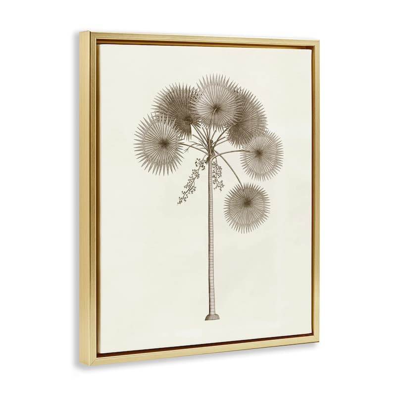 Stupell Vintage Study of Palm Tree Framed Floater Canvas Wall Art Design By Phillipa Katz