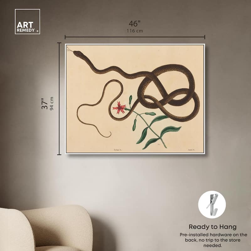 The Coach Whip Snake 1743 Canvas by Art Remedy