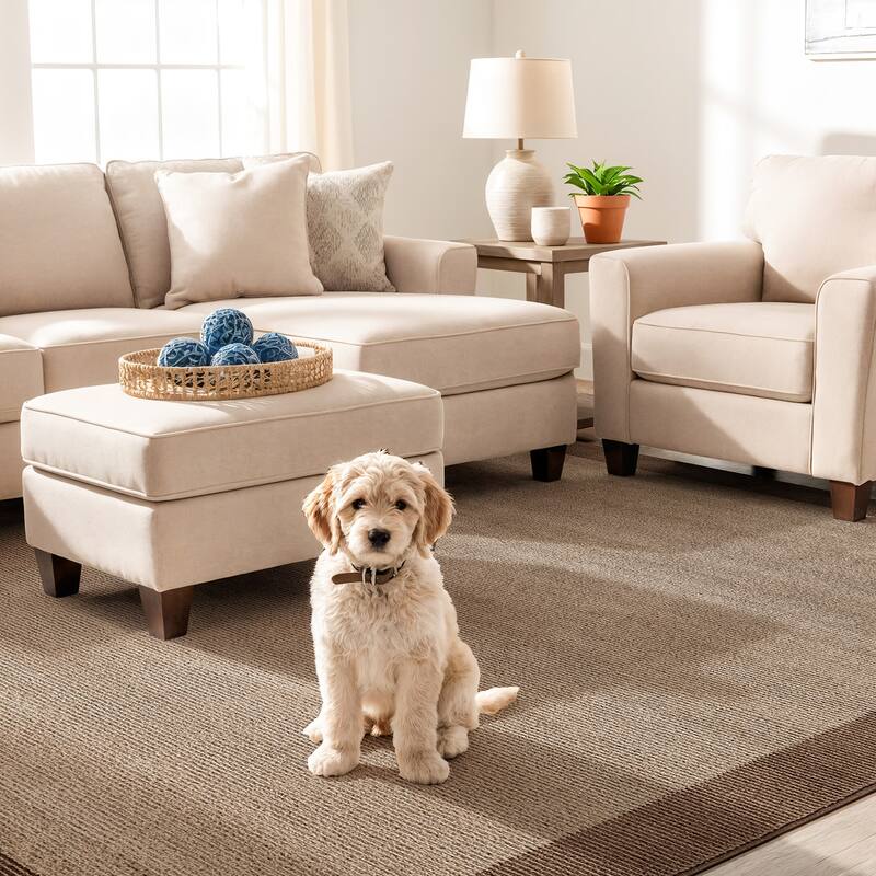 Modern Geometric Stripe Bordered Area Rug for Living Room, Bedroom, or Entryway - Low Pile Indoor Rug