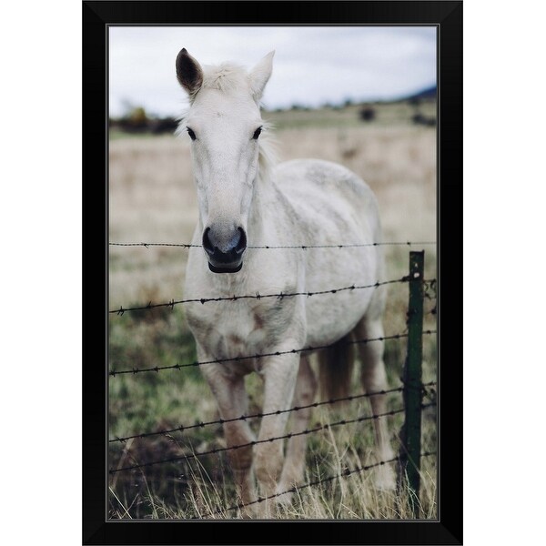 "White horse" Black Framed Print