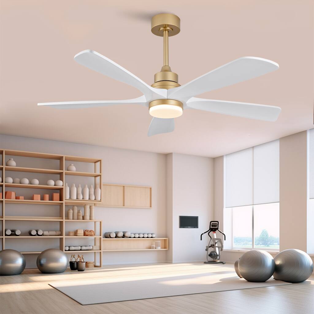 52" Ceiling Fans With Lights and Remote Control, Dimmable LED, 5 Solid Wood Blades,for Bedroom, Living Room - 52 Inches