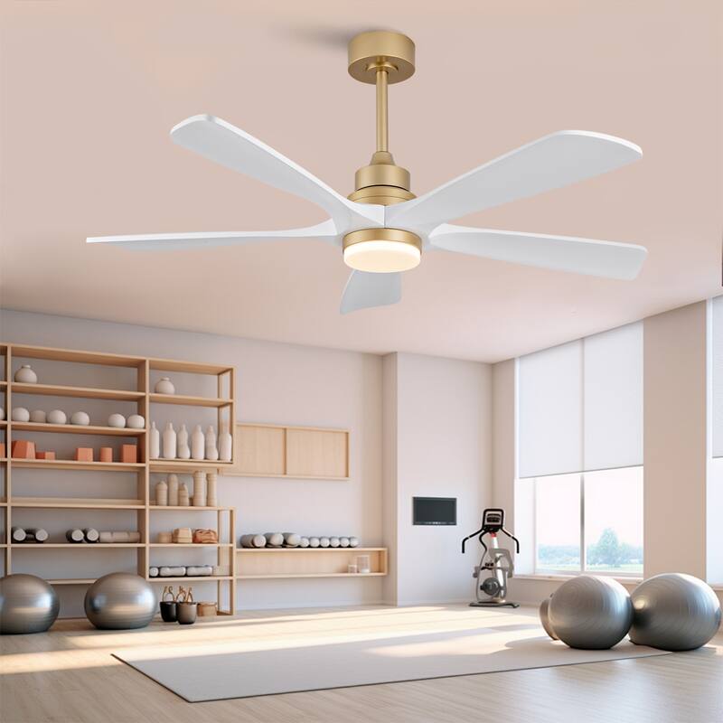 52" Ceiling Fans With Lights and Remote Control, Dimmable LED, 5 Solid Wood Blades,for Bedroom, Living Room - 52 Inches