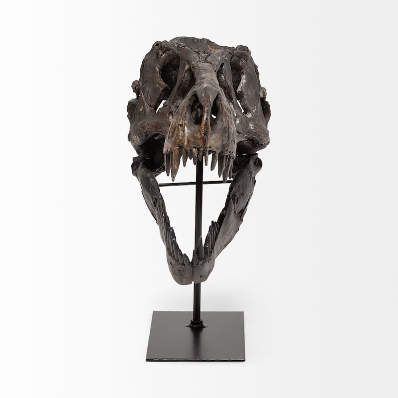 Jurassic Brown Resin Tyrannosaurus Skull Replica - 10"W x 6"L x 12"H