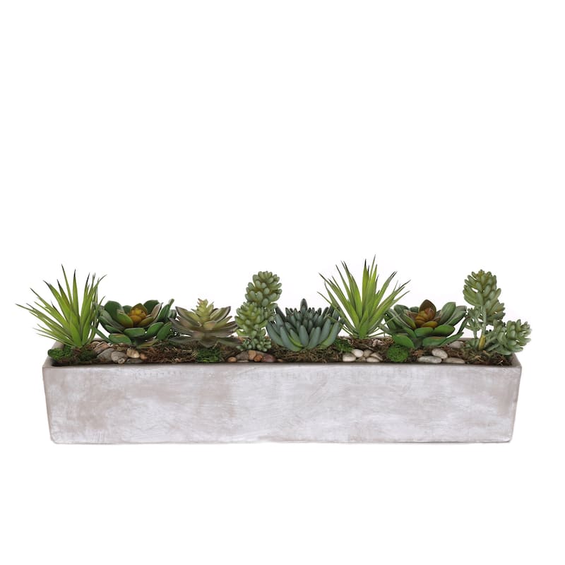 Succulents in rectangular cerement planter - Green