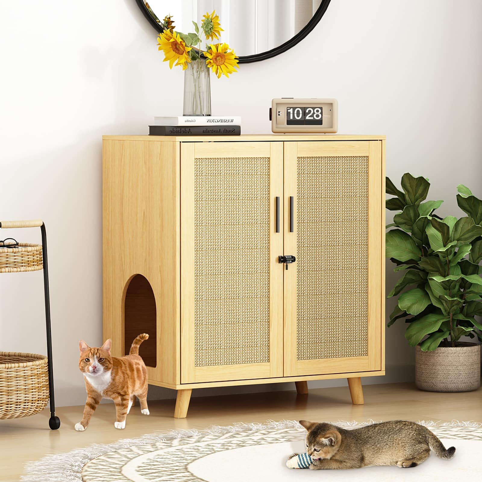 Enclosure for litter box discount