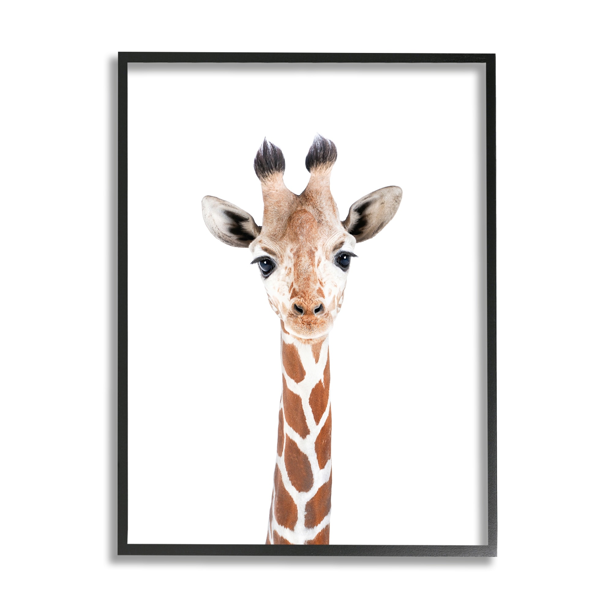 Stupell Giraffe on White Portrait Framed Giclee Art Design by Sisi and Seb