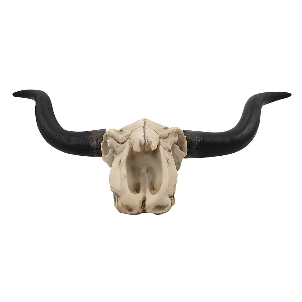 Huge-Long-Horn-Cow-Skull-Wall-