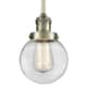 Option Antique Brass / Clear