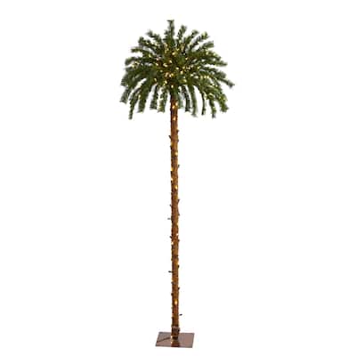 6' Pre-Lit Palm Artificial Christmas Tree, Warm Clear LED Lights - 6 Foot
