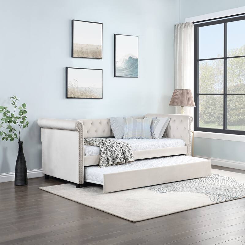Twin Size Upholstered Tufted Velvet Daybed with Trundle and Beautiful Round Armset Design