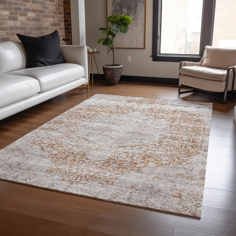 Machine Washable Indoor/ Outdoor Vintage Traditional Chantille Rug