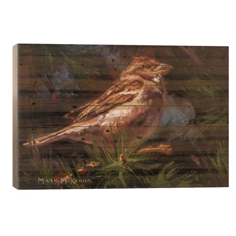 House Sparrow Print On Wood by Mark McKenna - Multi-Color - 18x26x1.5