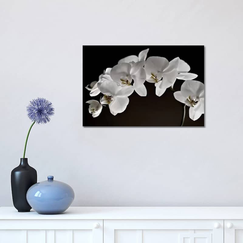 iCanvas "Orchids" by Symposium Design Canvas Print - 12x18x1.5