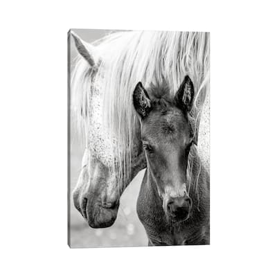 iCanvas "The Foal" by Jacky Parker Canvas Print