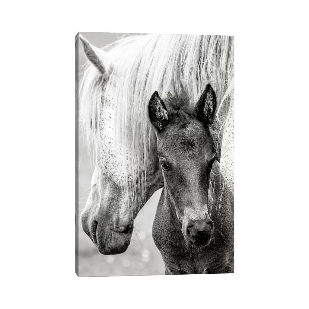 iCanvas "The Foal" by Jacky Parker Canvas Print