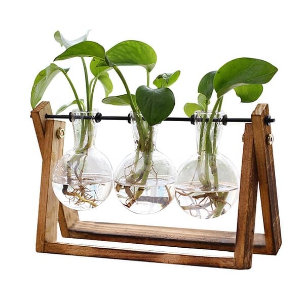 Plant Terrarium with Wooden Stand - 11"L x 4"W x 5.5"H - Brown