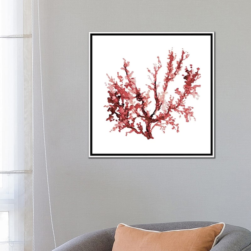 iCanvas "Sea Coral III" by Carol Robinson Framed Canvas Print