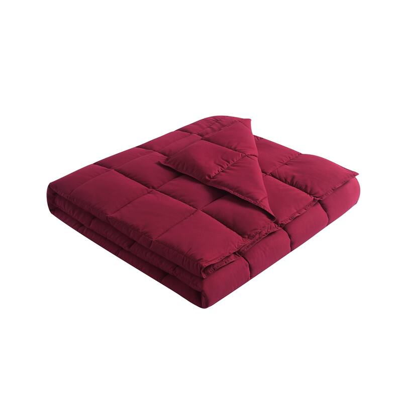 Water and Stain Resistant Bacteria Inhibiting Throw Blanket, 50" x 70" - Red