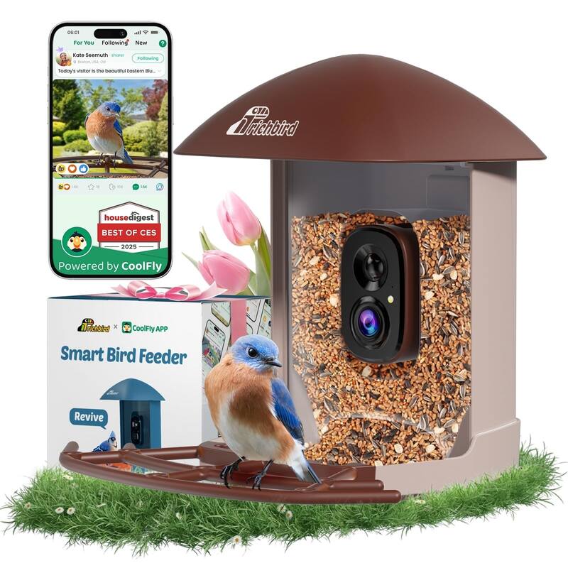 Smart Solar Bird Feeder with Camera and Interactive App - Brown