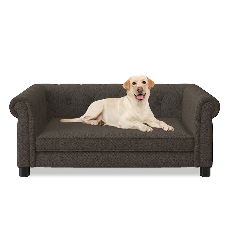 Elegant Rectangular Pet Sofa Bed Up to 100lbs