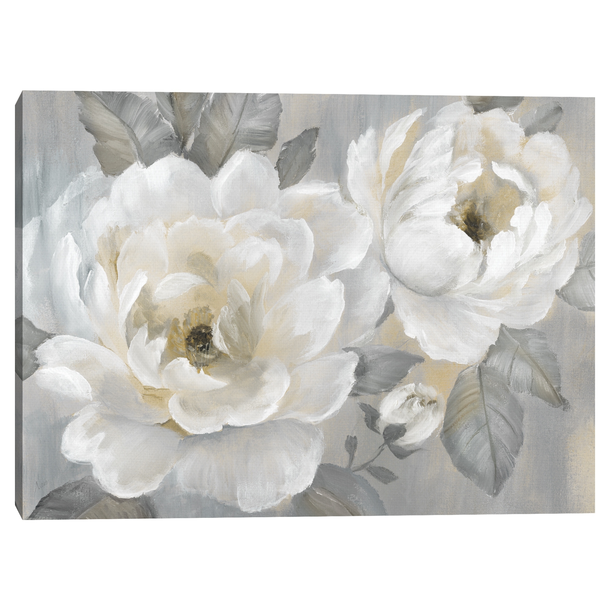 Perfect Peonies by Nan Canvas Art Print