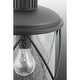 preview thumbnail 5 of 9, Progress Lighting Hollingsworth Single Light 10" Wide Outdoor Pendant