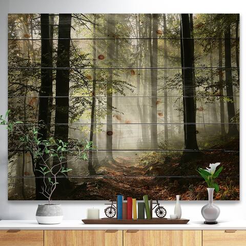 Designart 'Light in Dense Fall Forest with Fog' Print on Pine Wood - Green
